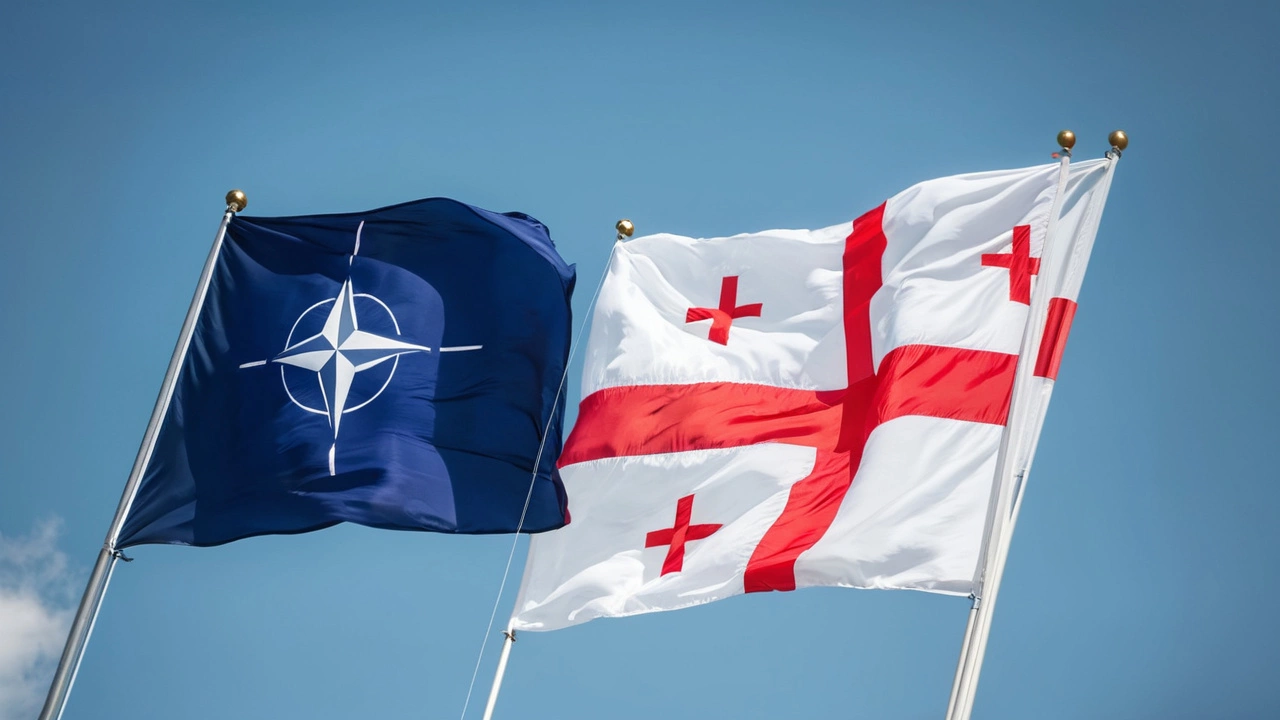 НАТО Призывает Грузию Ускорить Демократические Реформы: Важность Укрепления Институтов власти