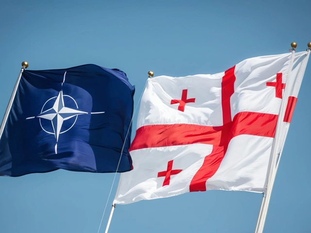 НАТО Призывает Грузию Ускорить Демократические Реформы: Важность Укрепления Институтов власти